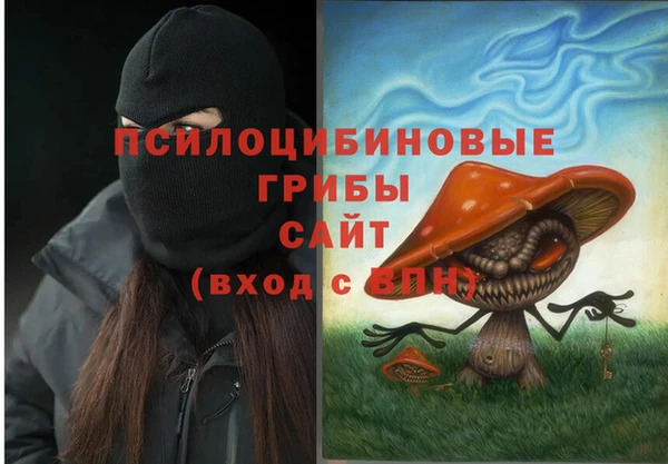 ECSTASY Армянск