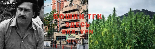 ECSTASY Армянск