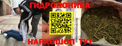 PSILOCYBIN Ирбит