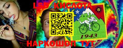 PSILOCYBIN Ирбит