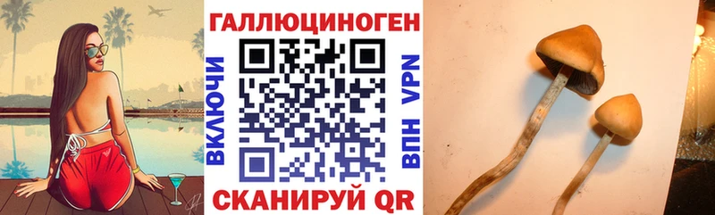 дарнет шоп  Пушкино  Галлюциногенные грибы прущие грибы 