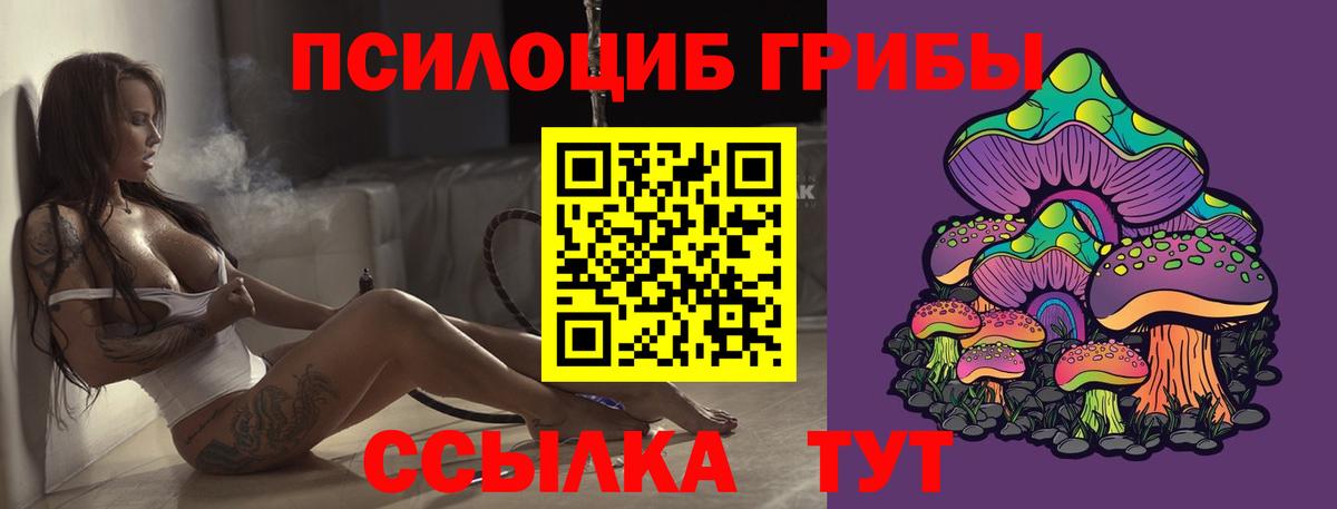 Псилоцибиновые грибы MAGIC MUSHROOMS Пушкино